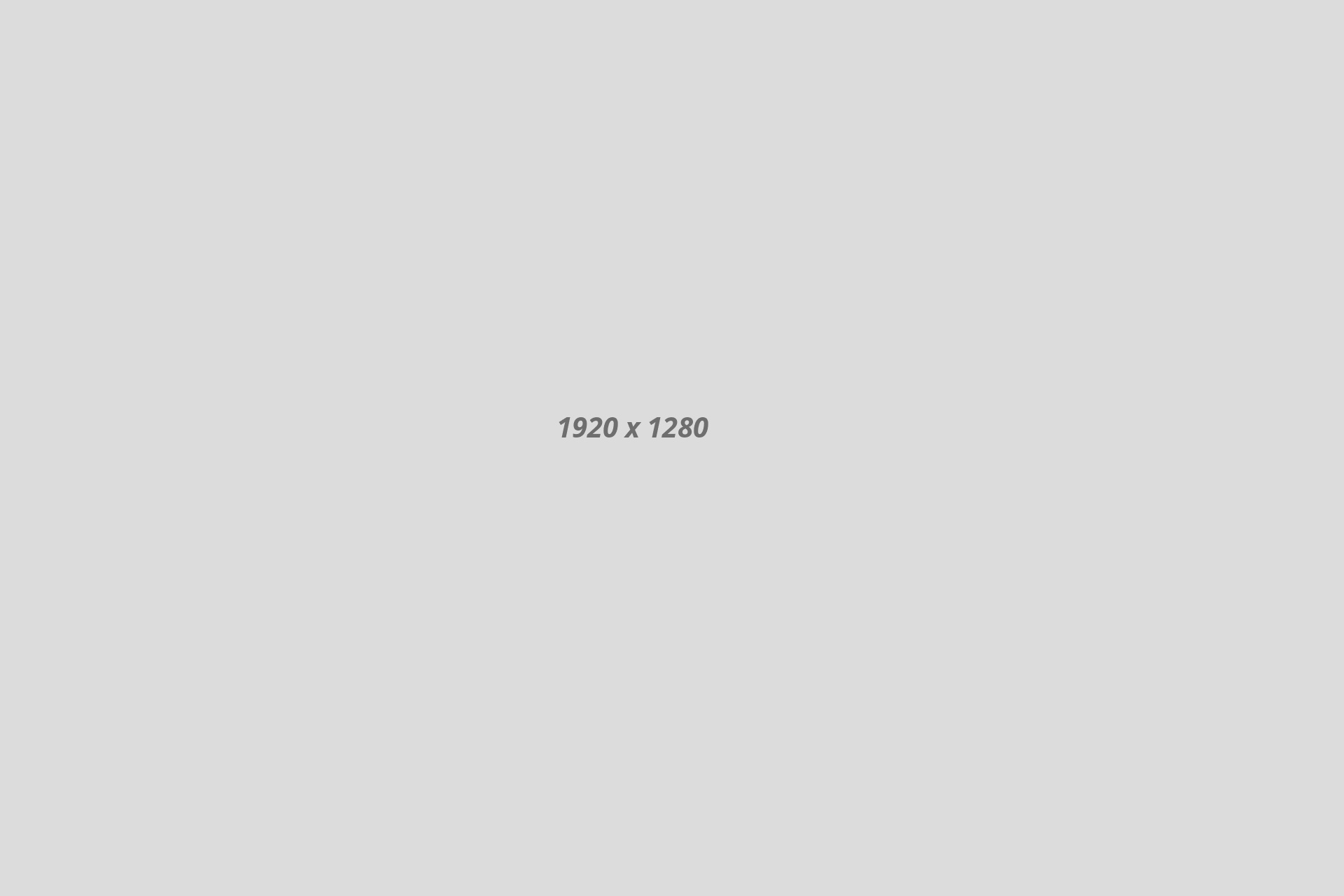 banner1-6